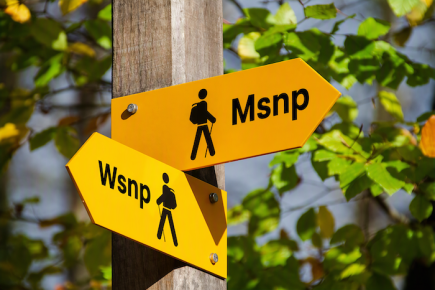 Msnp of Wsnp kopie.png