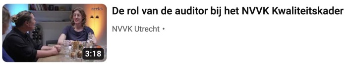 Auditor
