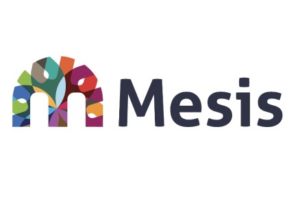    Mesis hoog.jpg