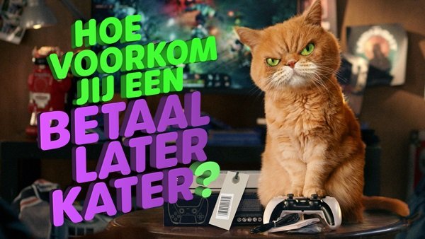 betaal-later-kater_game-16x9_still_600x338