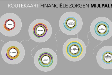VNG Routekaart 8 fasen.jpg